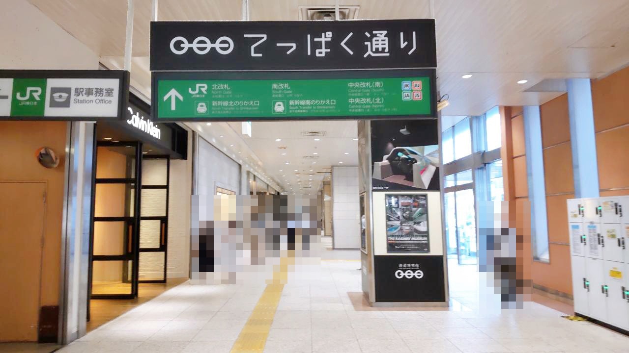 鉄道博物館駅,大宮,ニューシャトル,てっぱく,埼玉新都市交通伊奈線,駅周辺