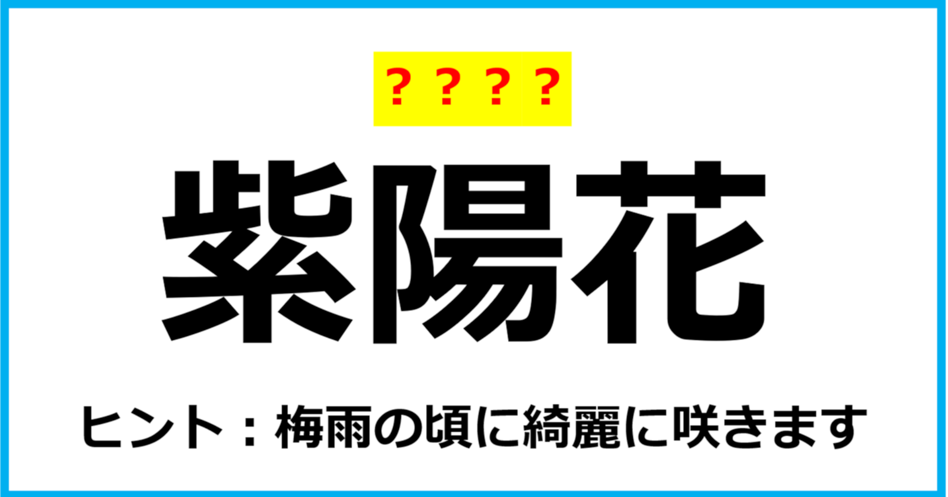 【難読クイズ】植物の名前「紫陽花」なんて読む？（第28問）