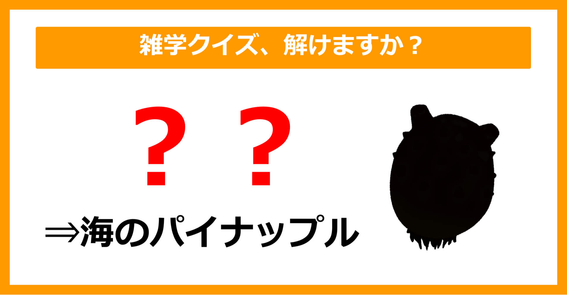 【雑学クイズ】「海のパイナップル＝〇〇」空欄に入るのは？（第17問）