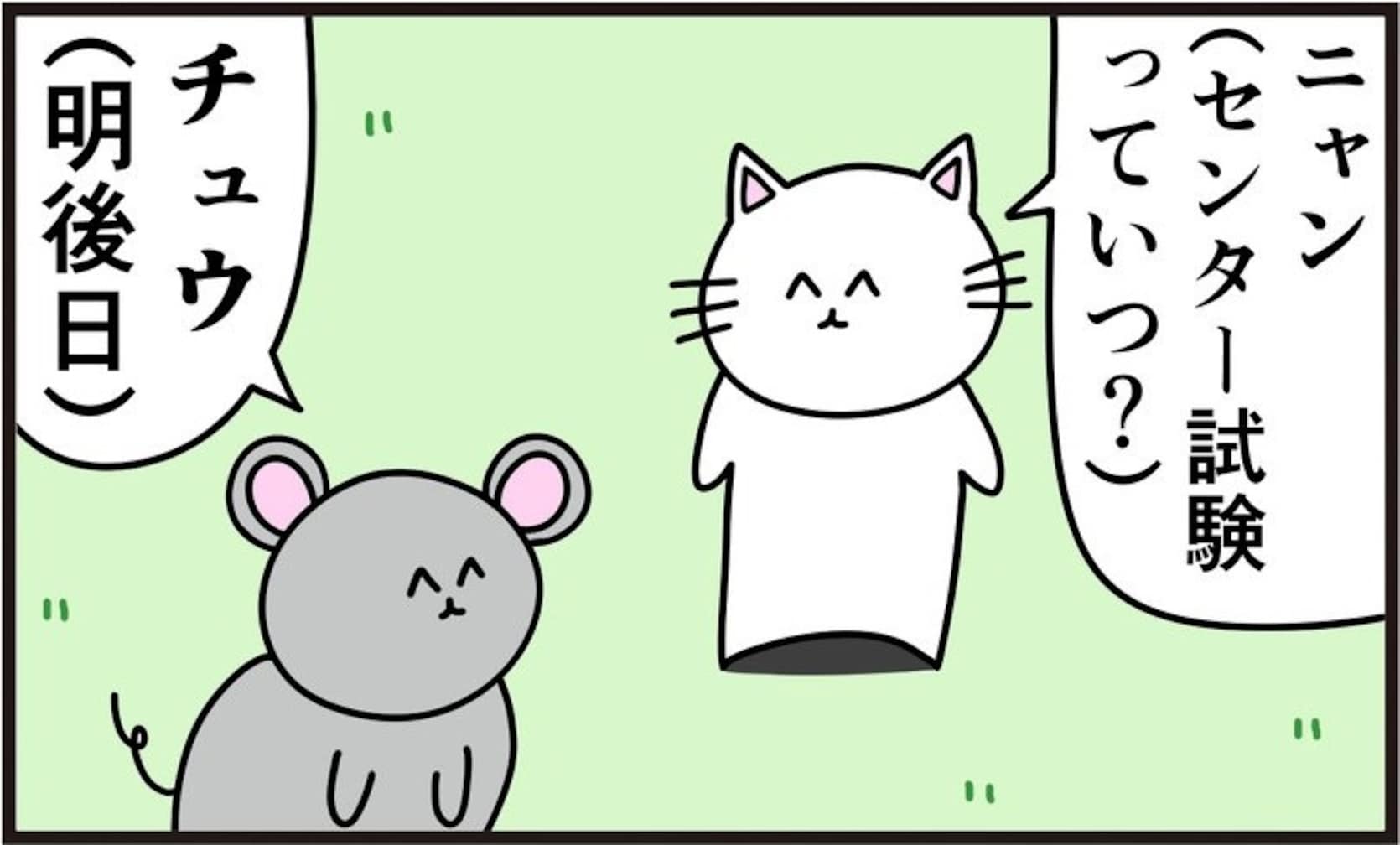 【因縁】猫がセンター試験に受からなかった悲しい理由とは…？「ネズミ絡み」「神回」「センスしかない」