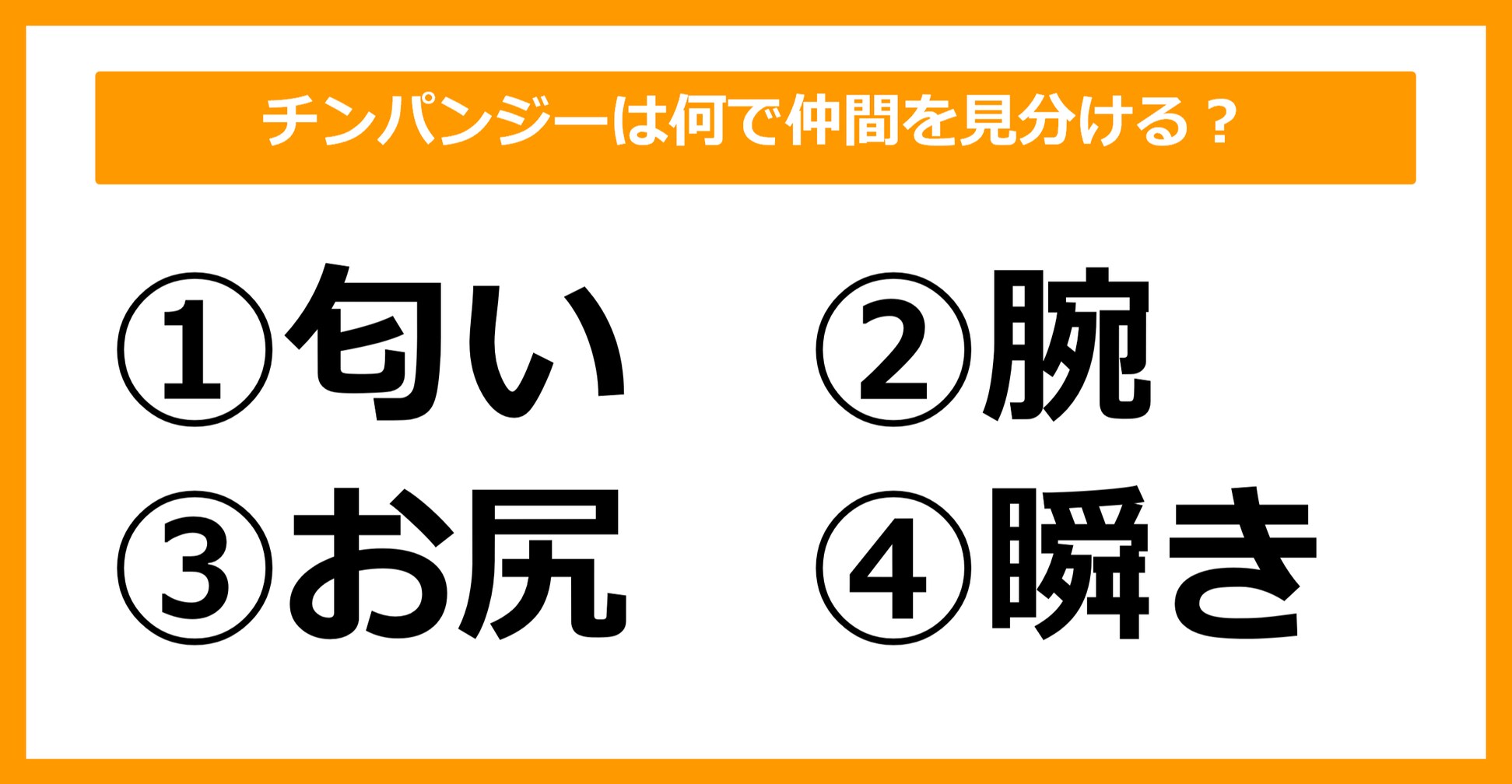 【雑学クイズ】チンパンジーは何で仲間を見分けるでしょうか？