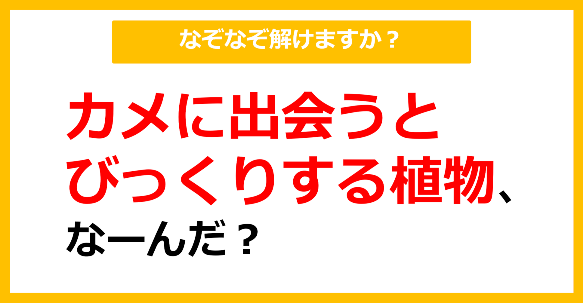 【なぞなぞ】カメに出会うとびっくりする植物、なーんだ？（第57問）