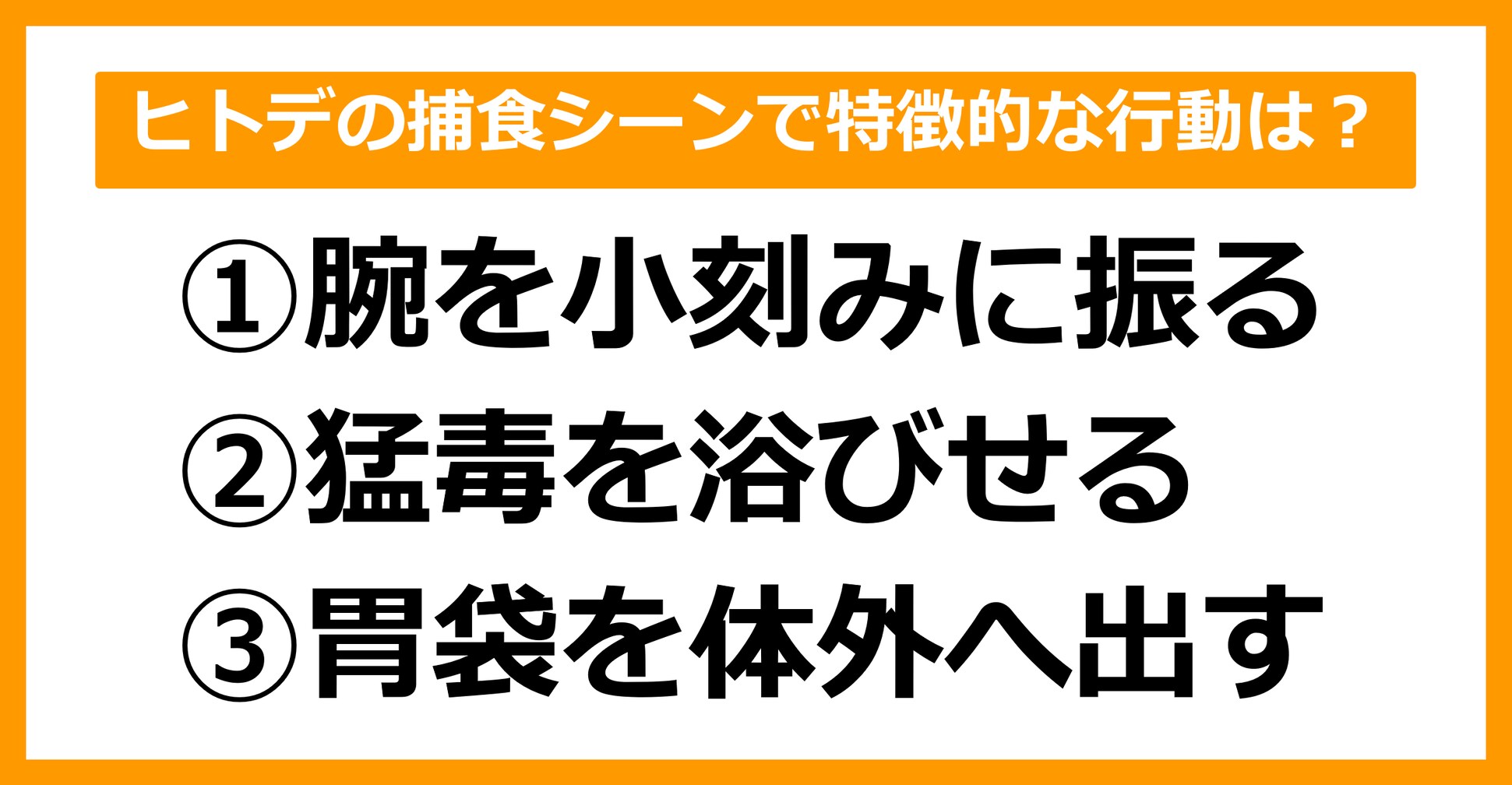 【雑学クイズ】次のうち、ヒトデの捕食シーンで特徴的な行動は？