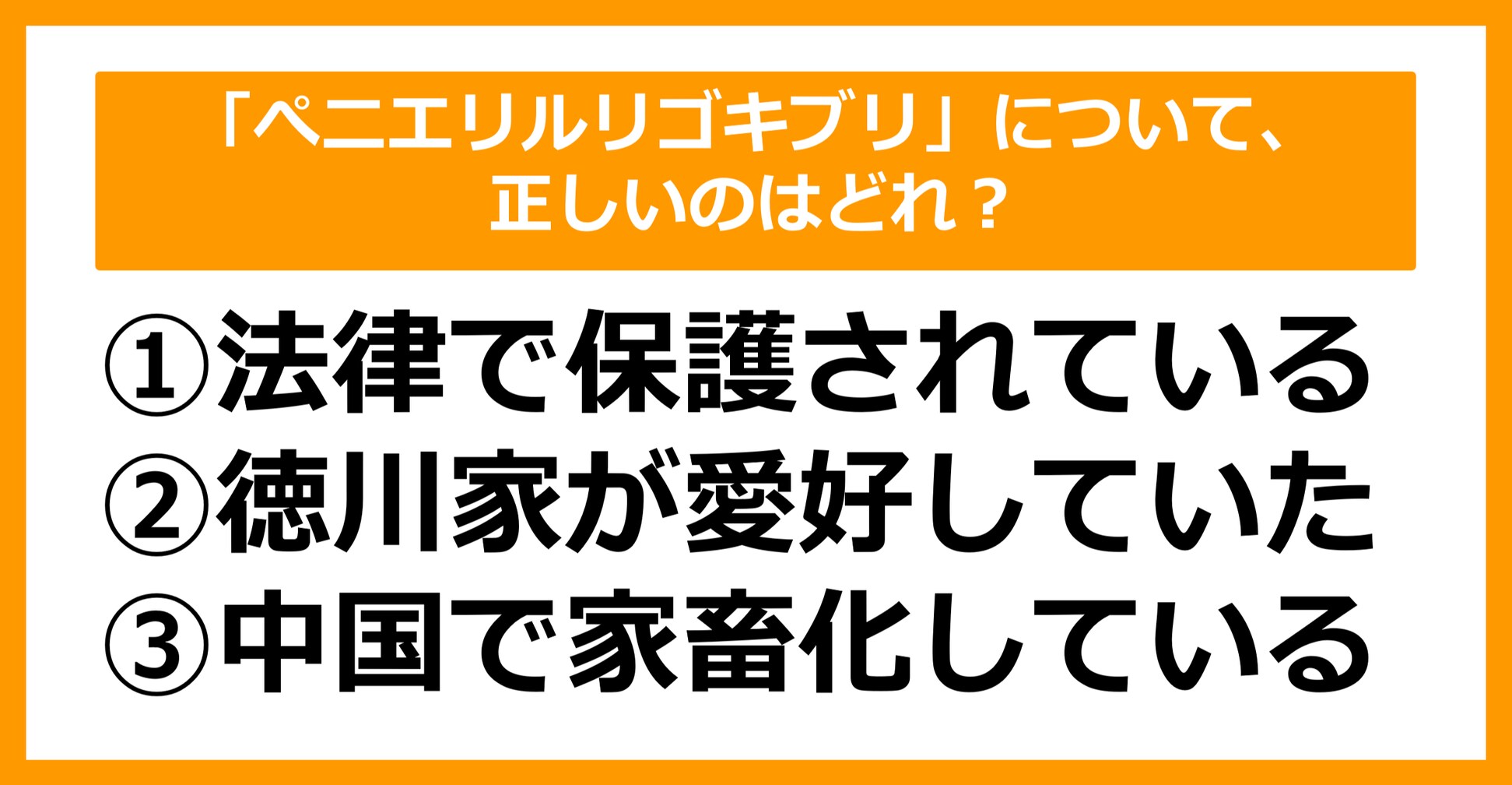 【雑学クイズ】「ぺ二エリルリゴキブリ」について、正しいのはどれ？
