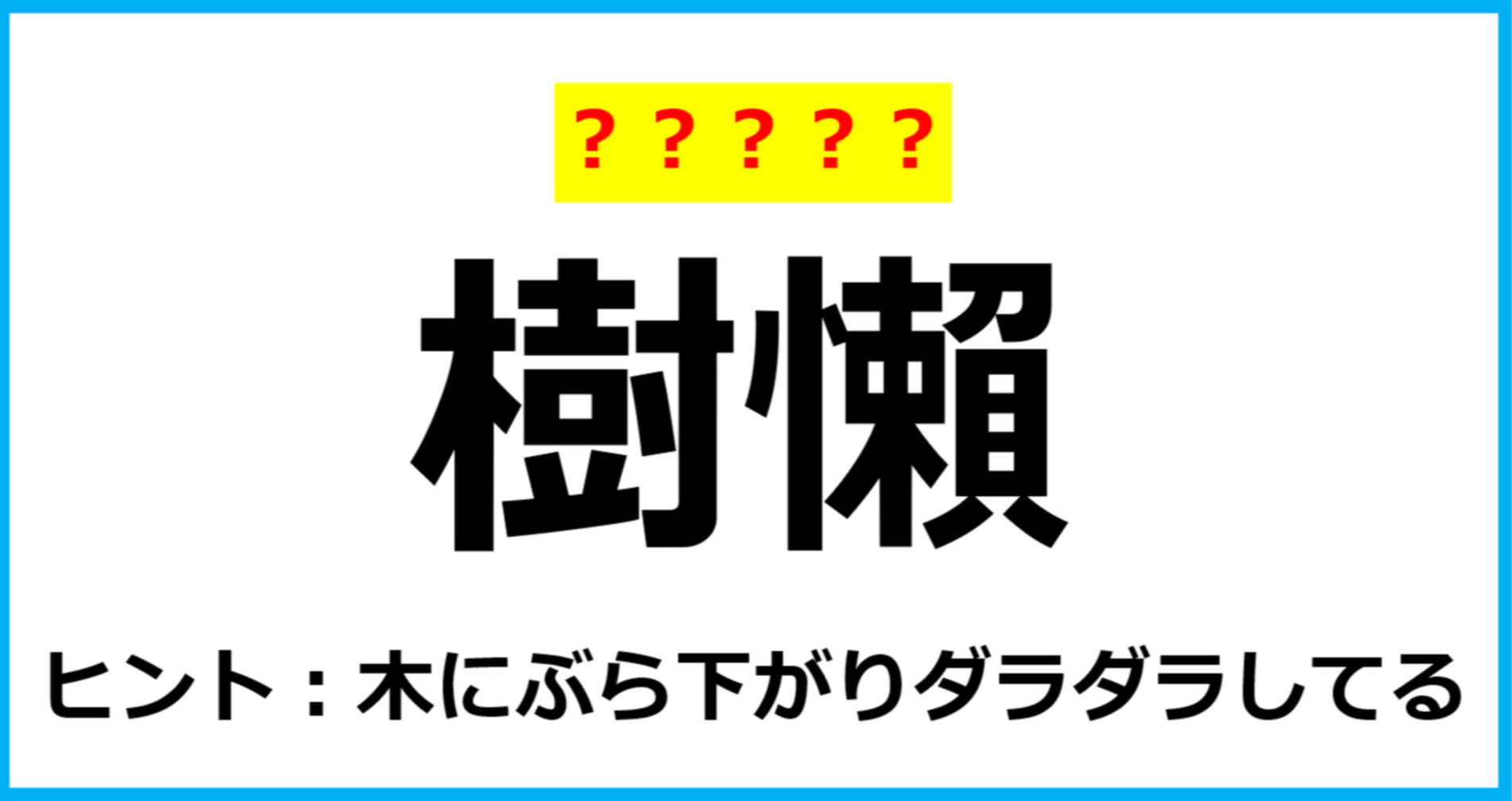 【難読クイズ】動物の名前「樹懶」なんて読む？