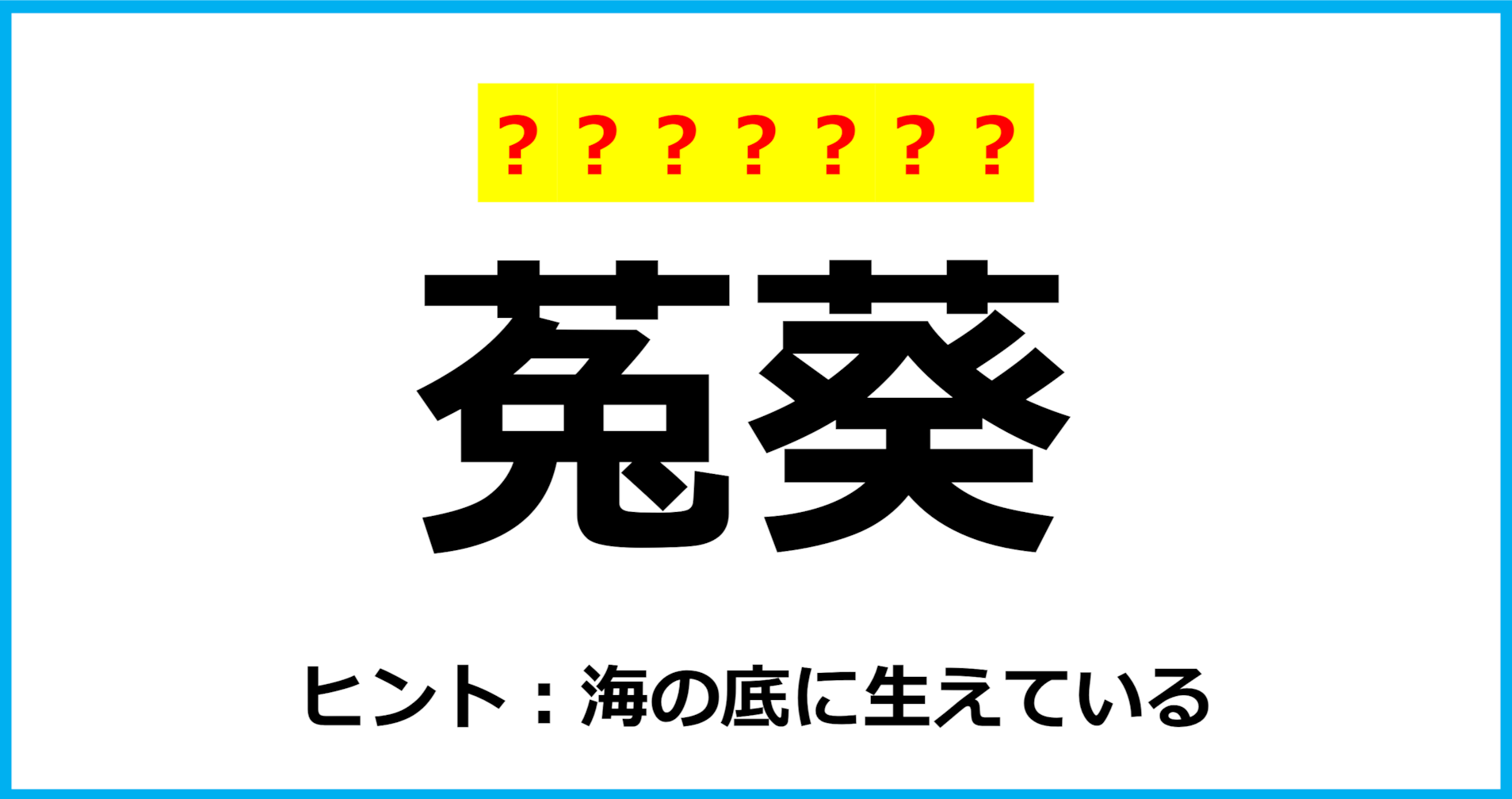 【難読クイズ】海の生き物の名前「菟葵」なんて読む？