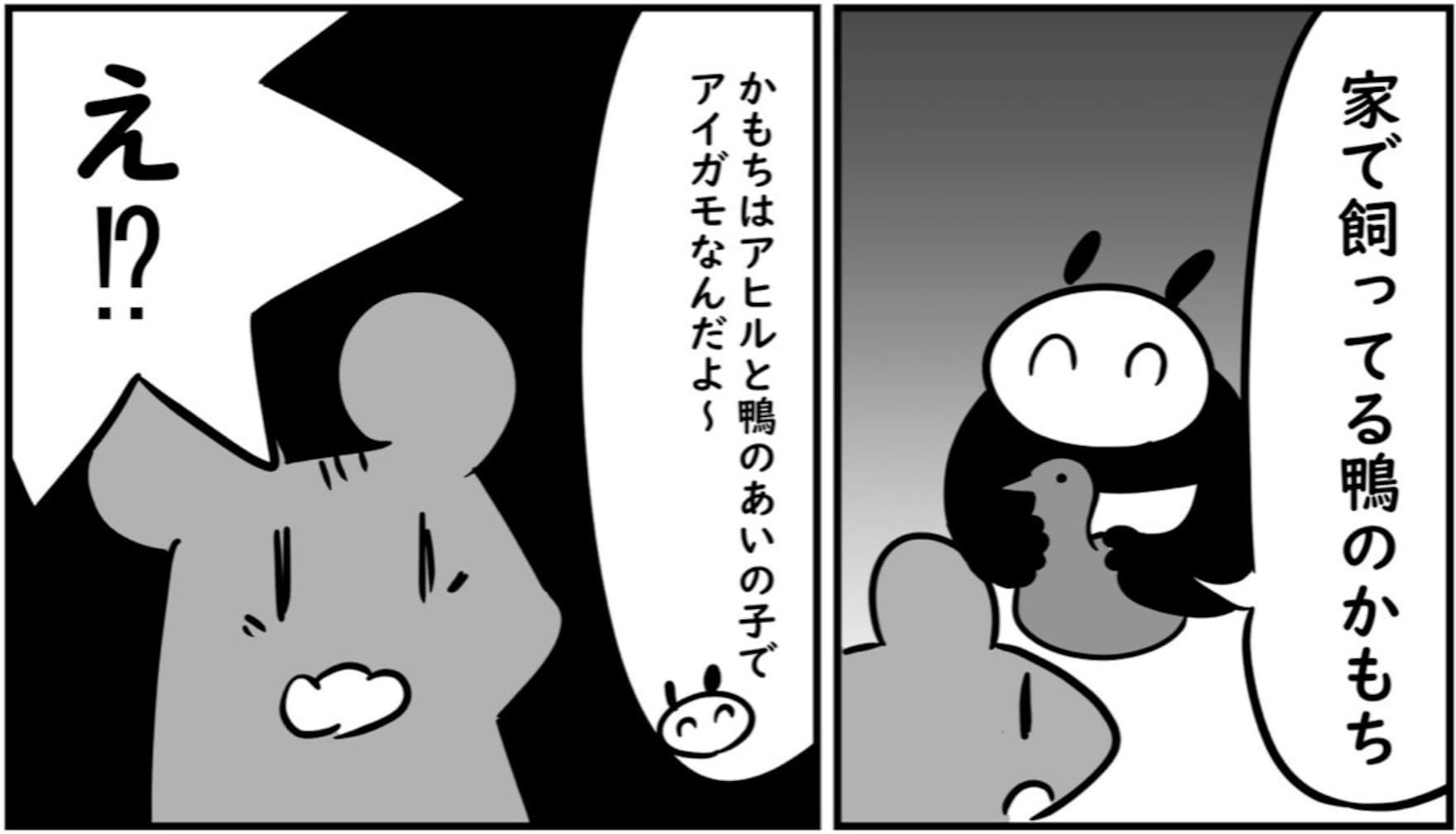 ＼うちのペットはハーフなんです！／ 合鴨・かもちの意外な生態に「為になった」「可愛い」「トリビア」