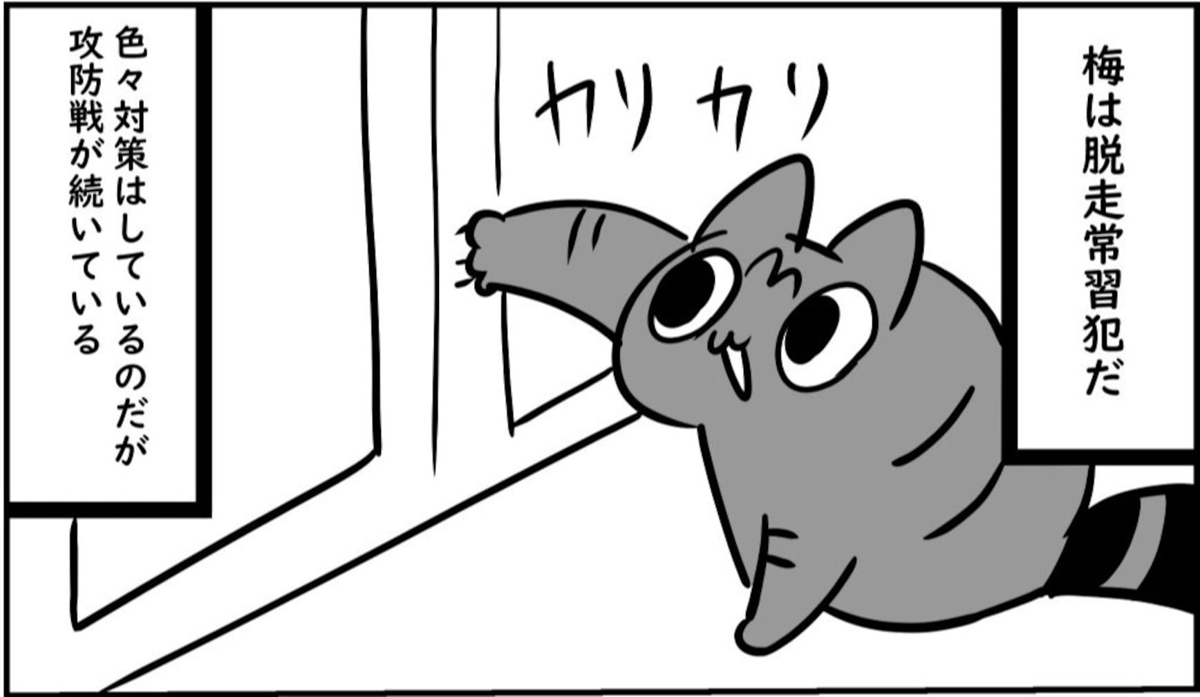 【人間VS猫】何度対策しても脱獄を繰り返す猫…発覚したまさかの脱獄方法とは？