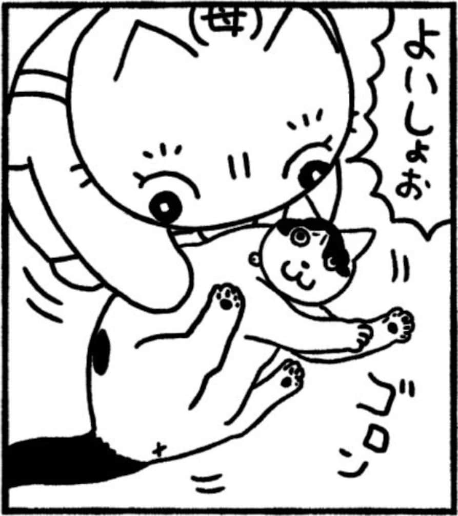 「やるってか！」「ミャーウ！」猫の挑発に母が乗り…母VS猫の謎の喧嘩の結末は？