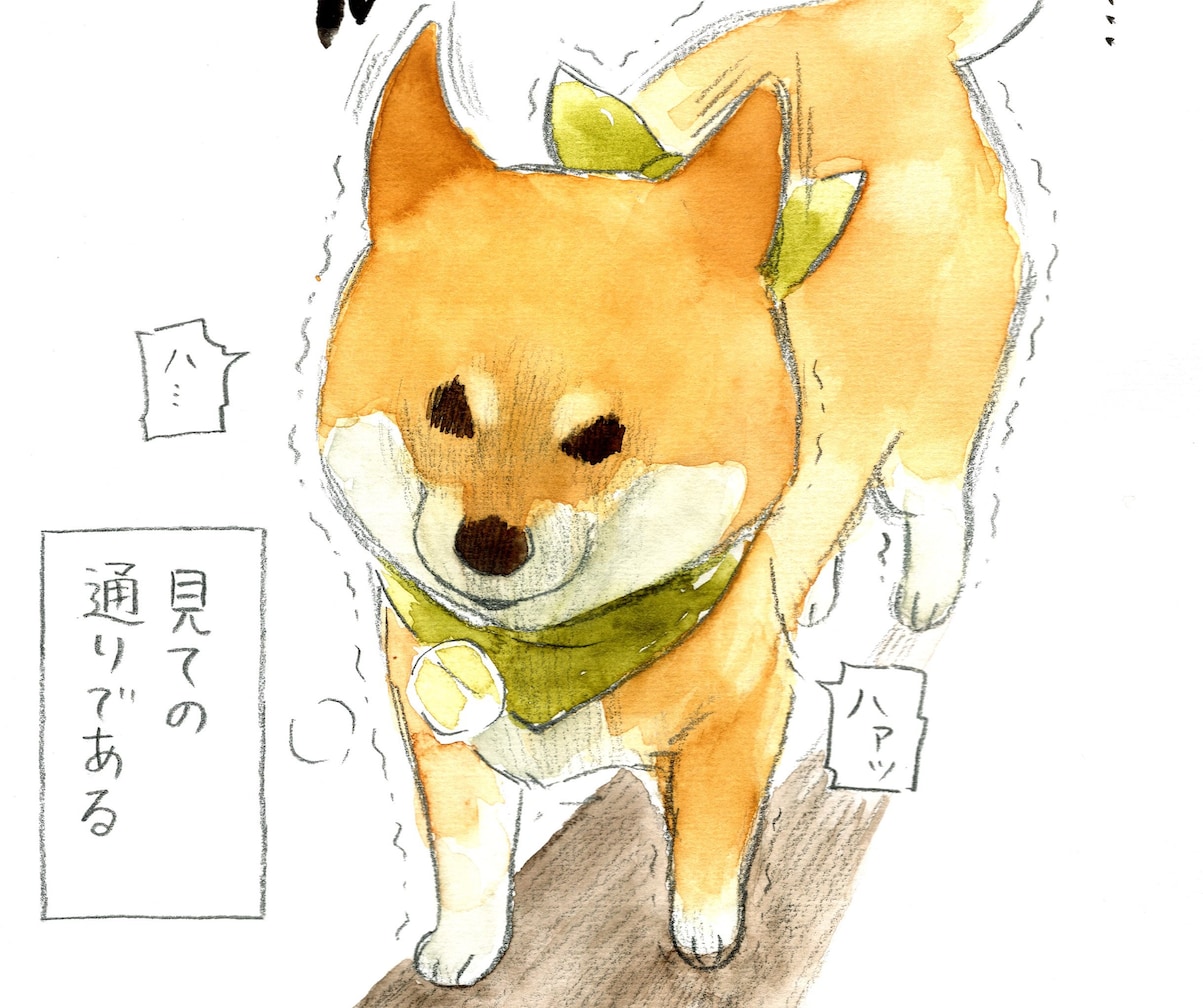 雷と戦う柴犬 行き場をなくして辿り着いたのは…「可愛すぎる」「抱きしめたい」「頭隠して尻隠さず」