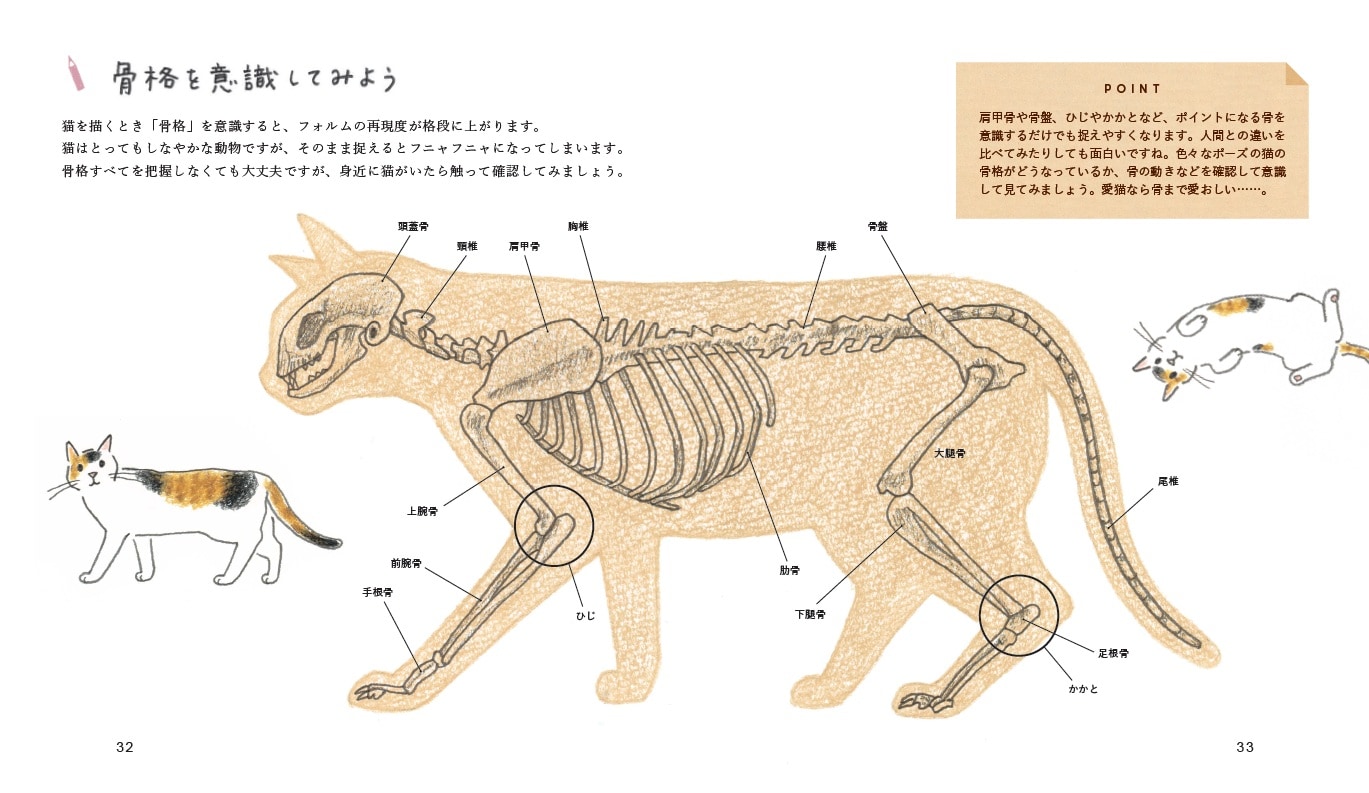 画像出典：『ねこの描き方れんしゅう帖』（小泉さよ・著／日東書院本社）