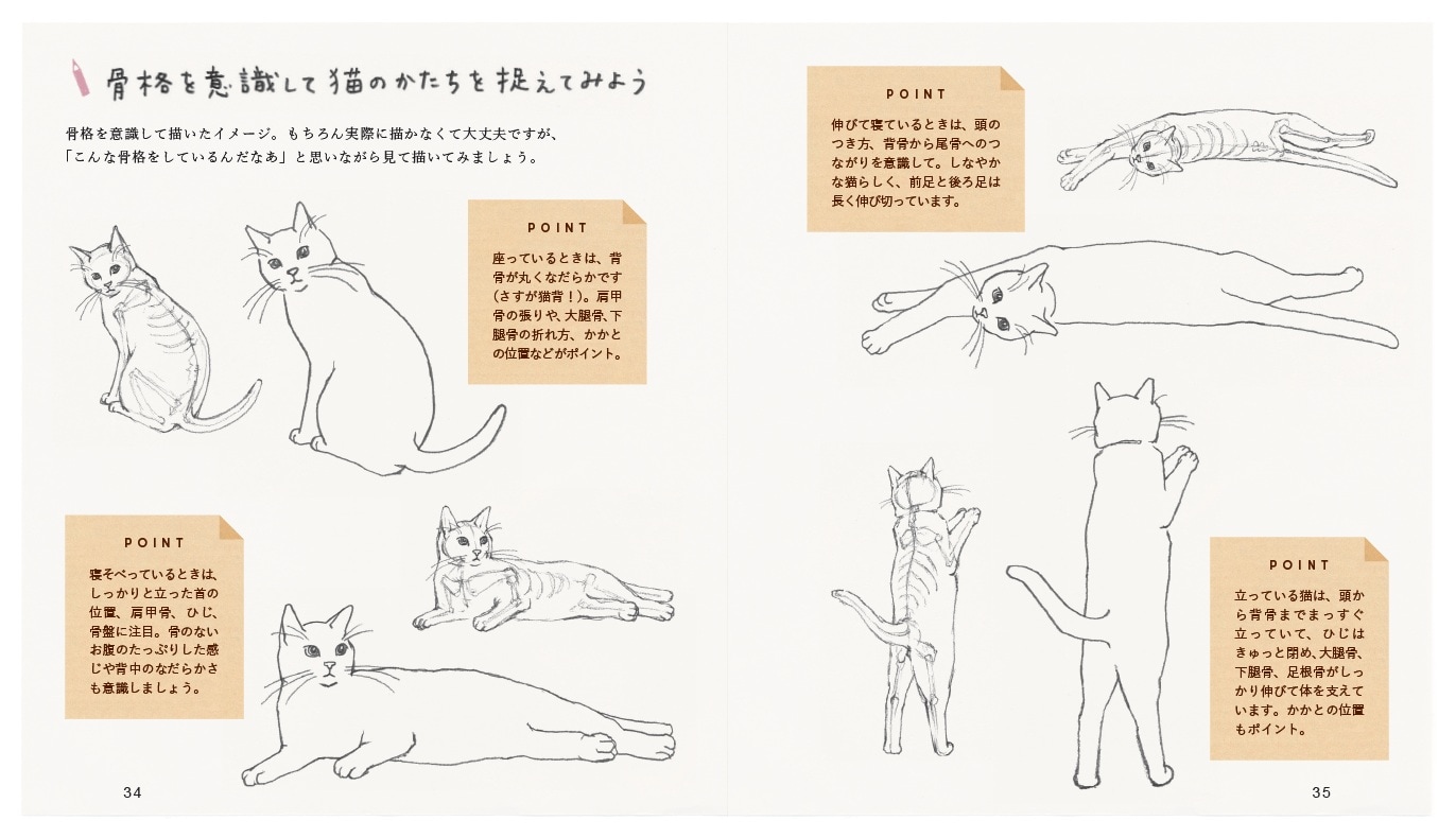 画像出典：『ねこの描き方れんしゅう帖』（小泉さよ・著／日東書院本社）
