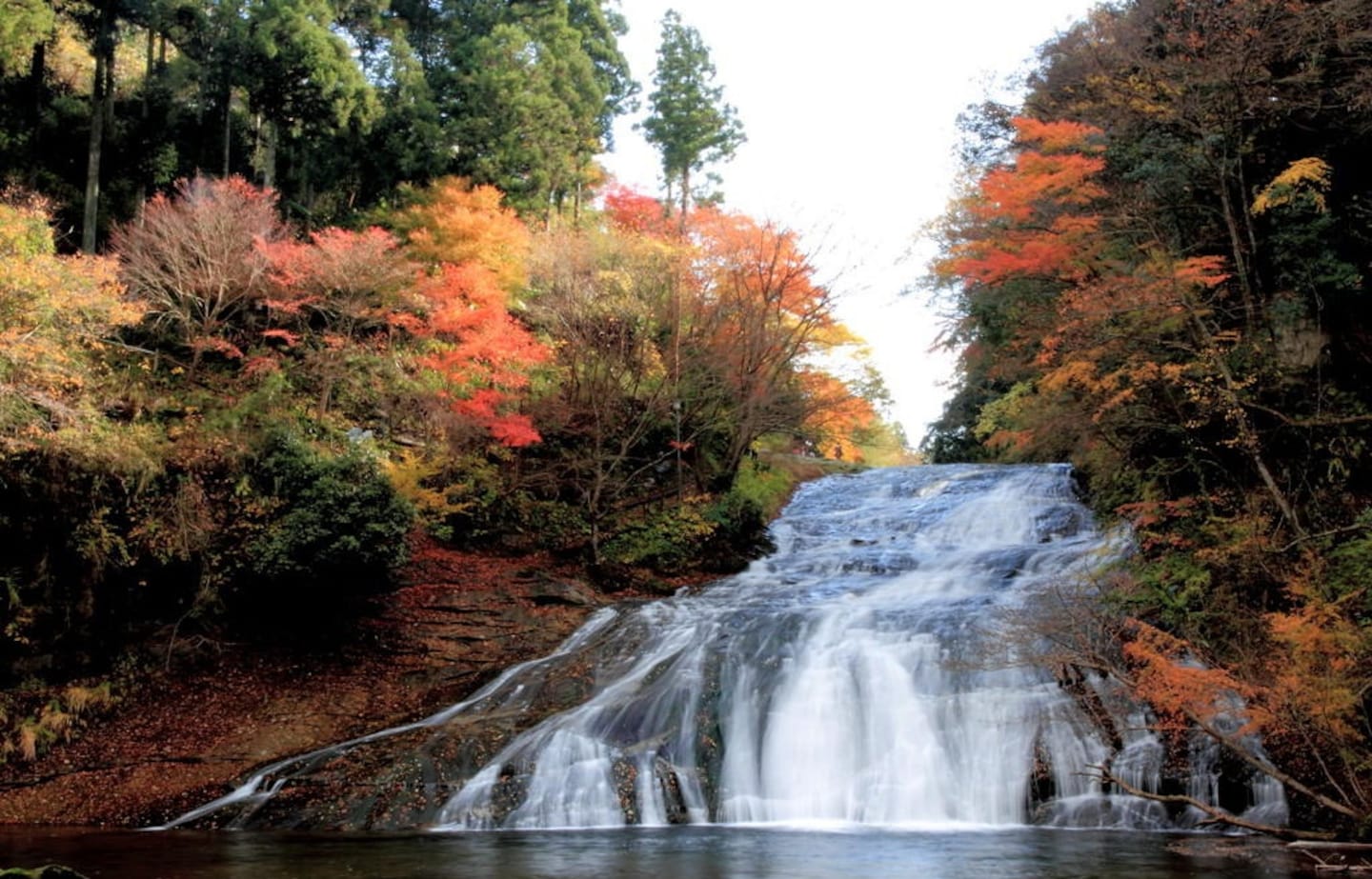 5 Stunning Fall Spots on the Boso Peninsula