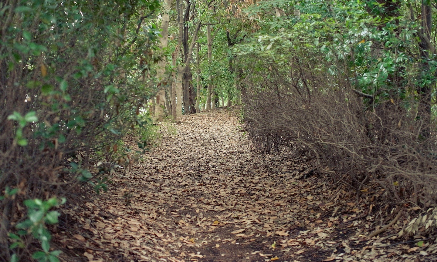 Escape the Rat Race by Running in Shinagawa