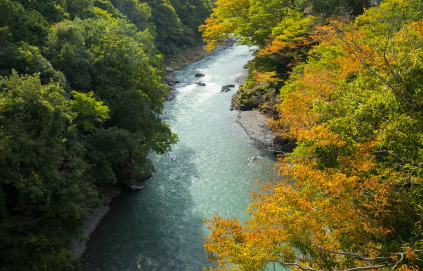 A Walk through Tokyo's Great Outdoors