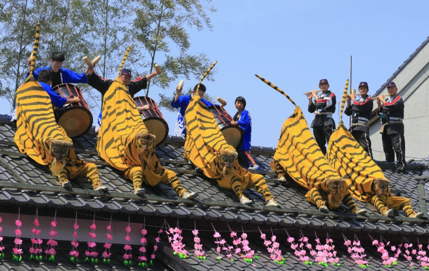 3 Animal Dances in Miyagi