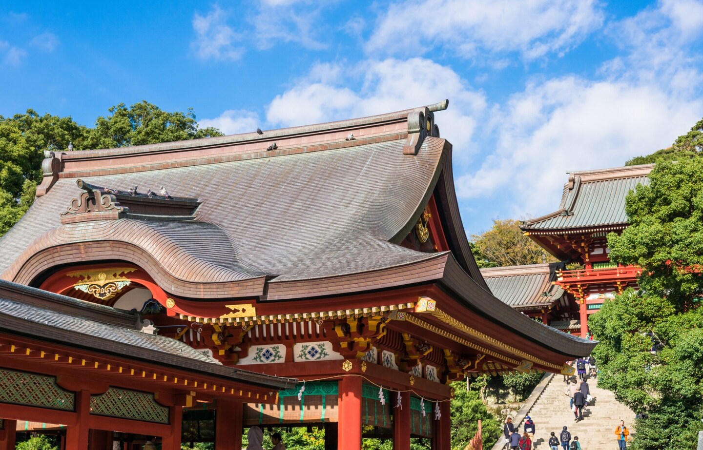 Find Treasure at Tsurugaoka Hachiman-gu Shrine