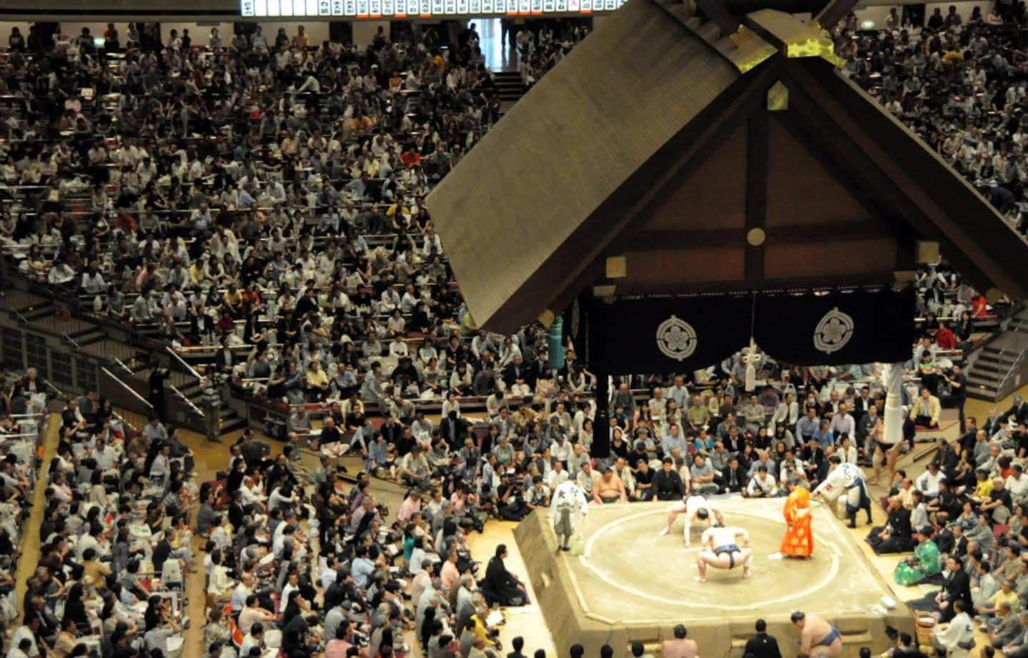 A Day at the Sumo