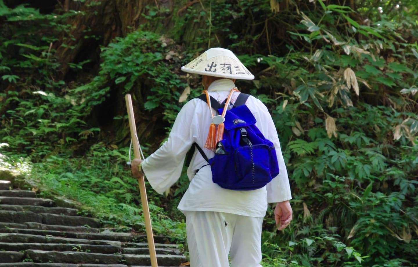 Explore the Mysteries of Tohoku