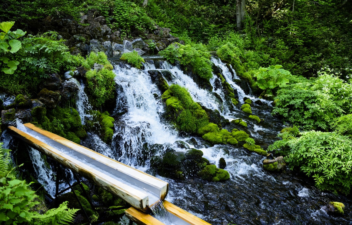 Why Water is a Big Deal in Japan