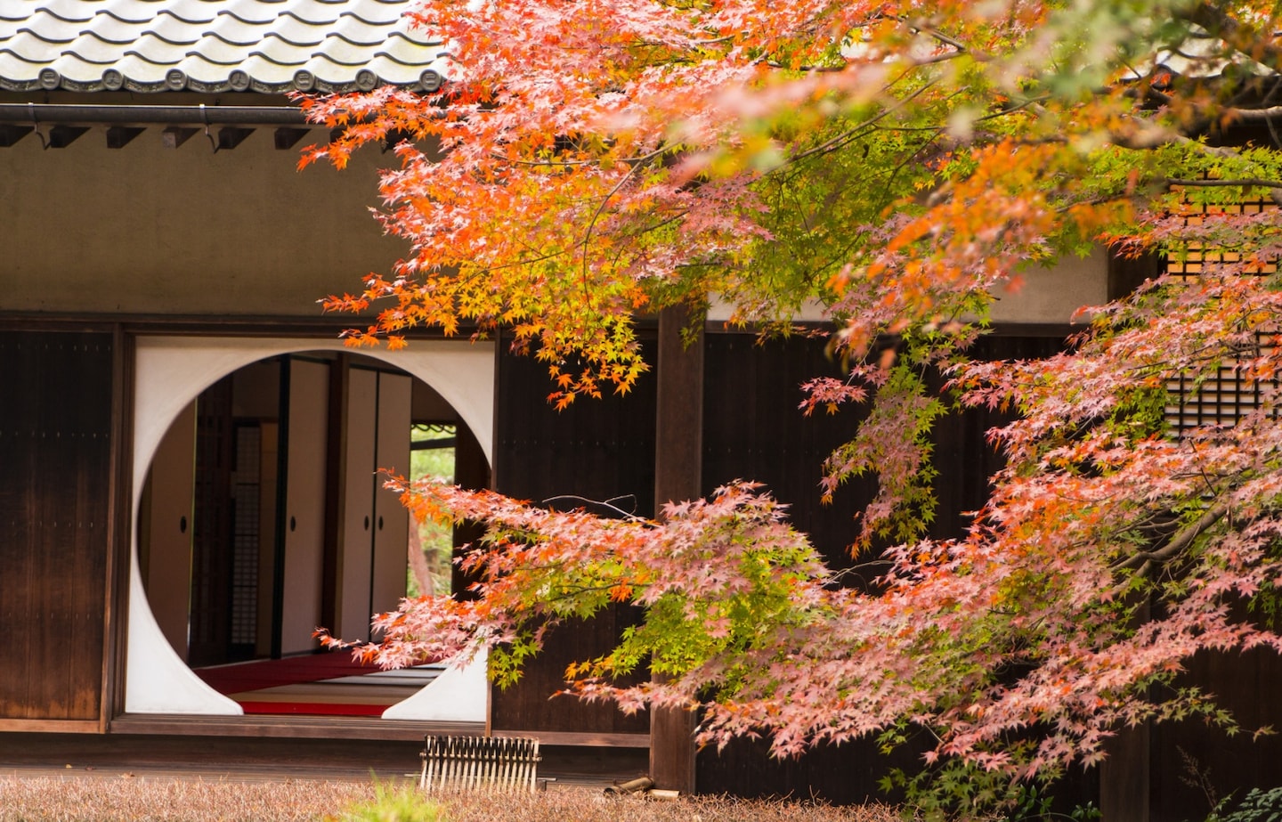 Kamakura’s Top 10 Fall Foliage Spots