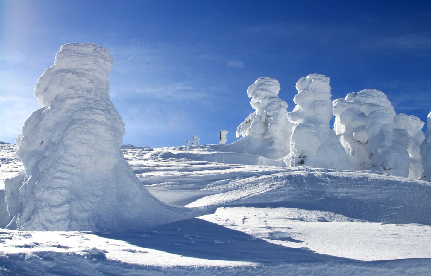 Nature’s Art: The Frost-Covered Trees of Zao