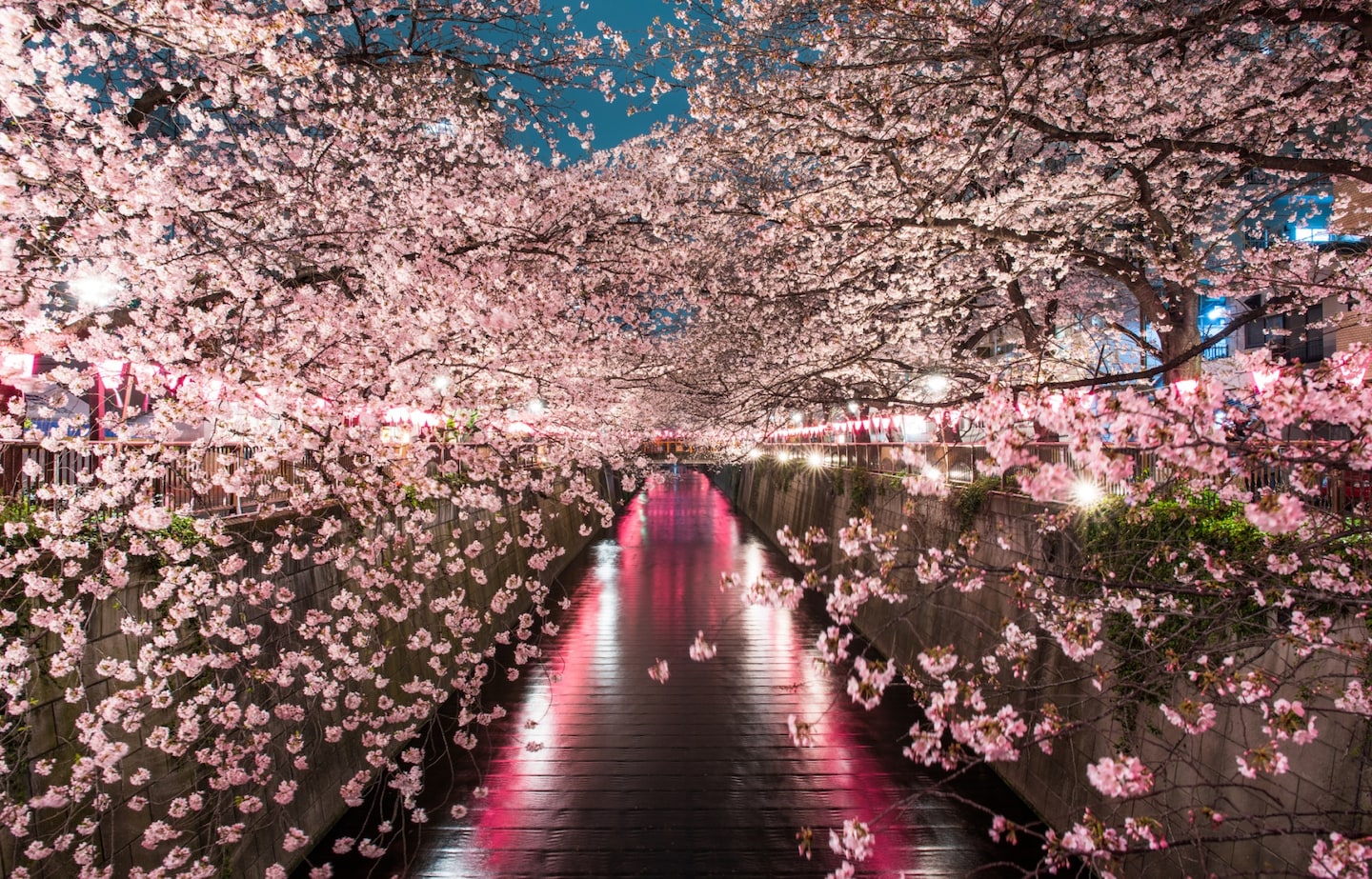 By the River Meguro, I Sat Down