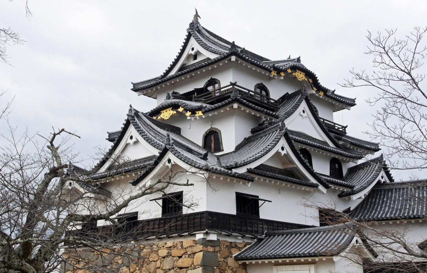 Hikone Castle: A National Treasure at 410