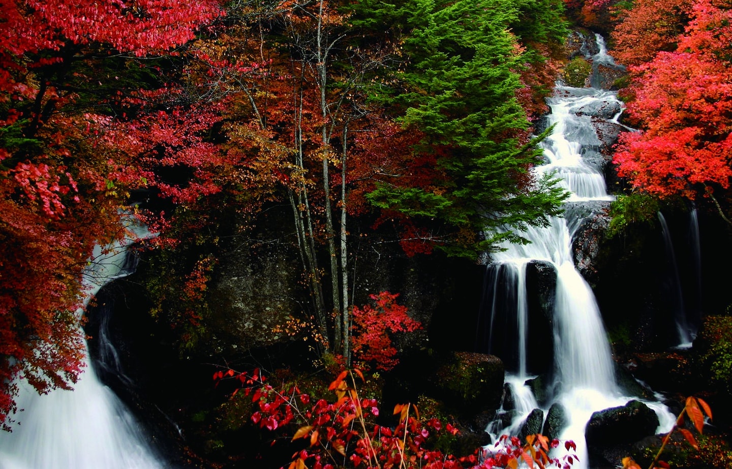 10 Things to Do in Tochigi in Autumn