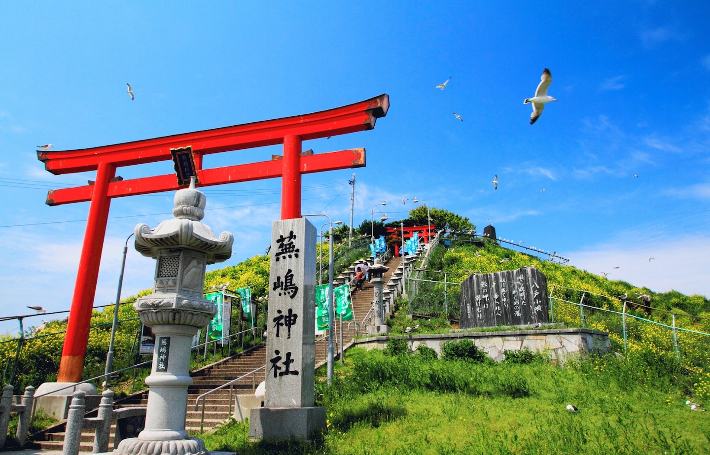 東北之旅必遊神社｜到蕪嶋神社與成群海鷗相會