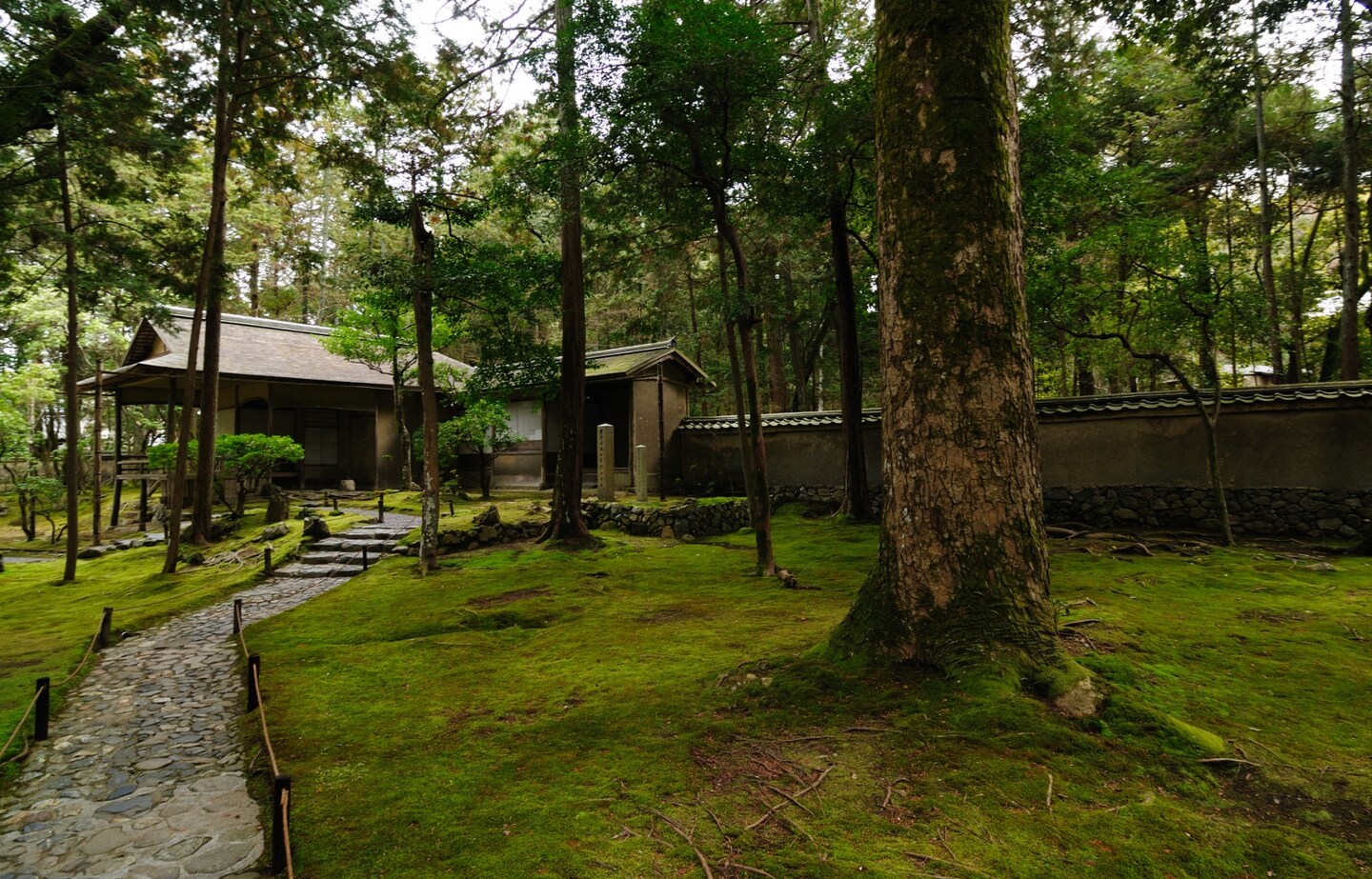 Saiho-ji: Kyoto's Rainy Season Gem