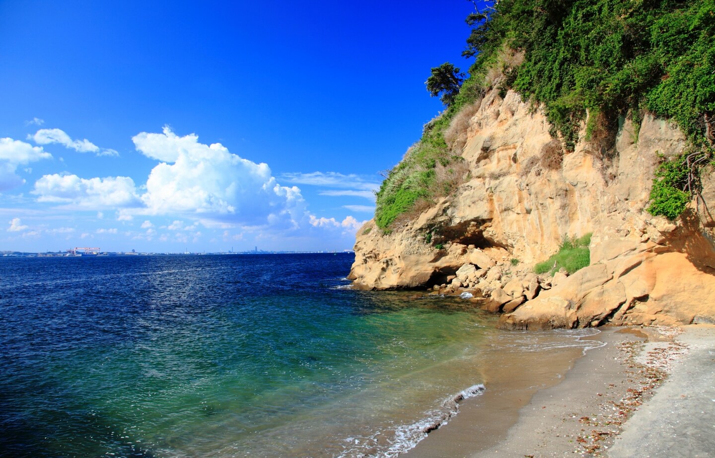 Beaches Near Tokyo Perfect for a Day Trip