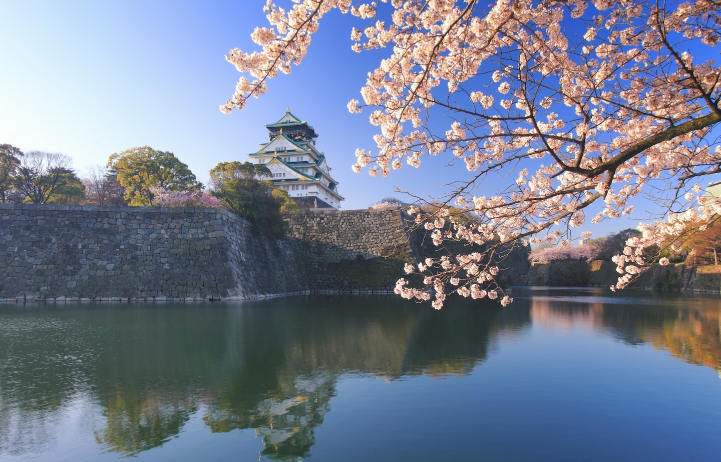 รู้รอบเรื่องปราสาทโอซาก้า Osaka Castle