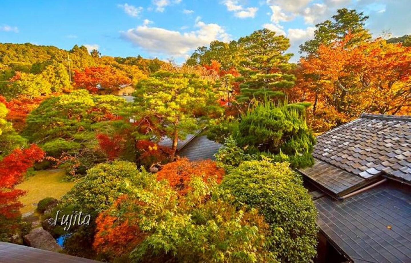 Stay at These Inns & Get the Kyoto Experience