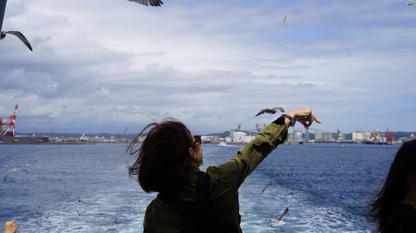 到福岛磐城逛鱼市吃海鲜～海洋体验一日游