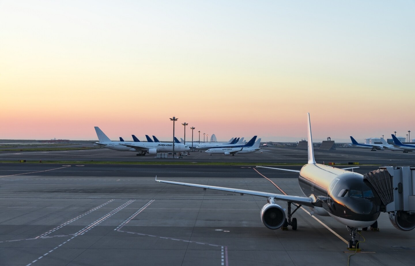 Save Money on Domestic Japan Flights With LCCs