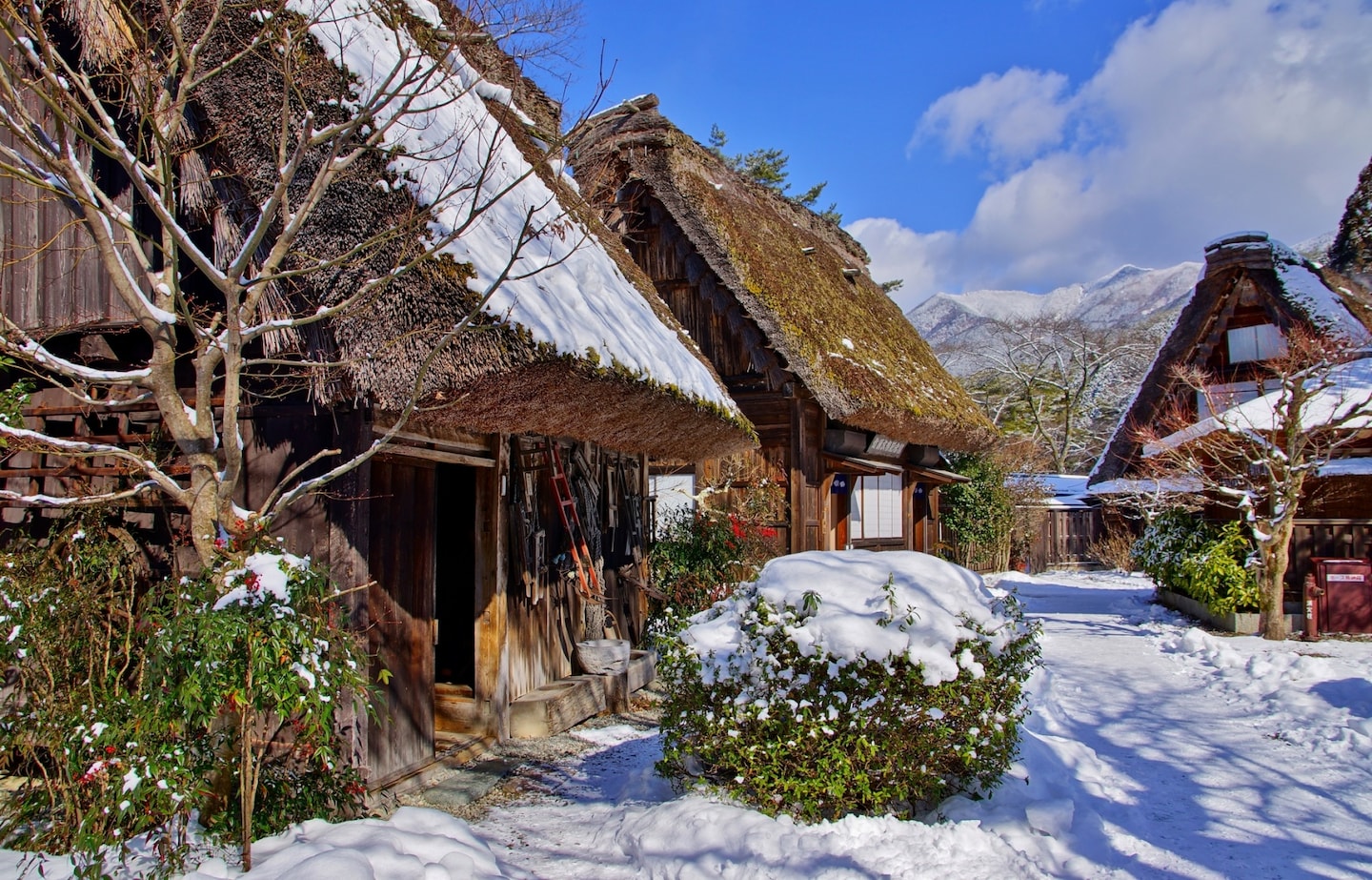 【日本自由行】名古屋周邊5大冬雪體驗活動