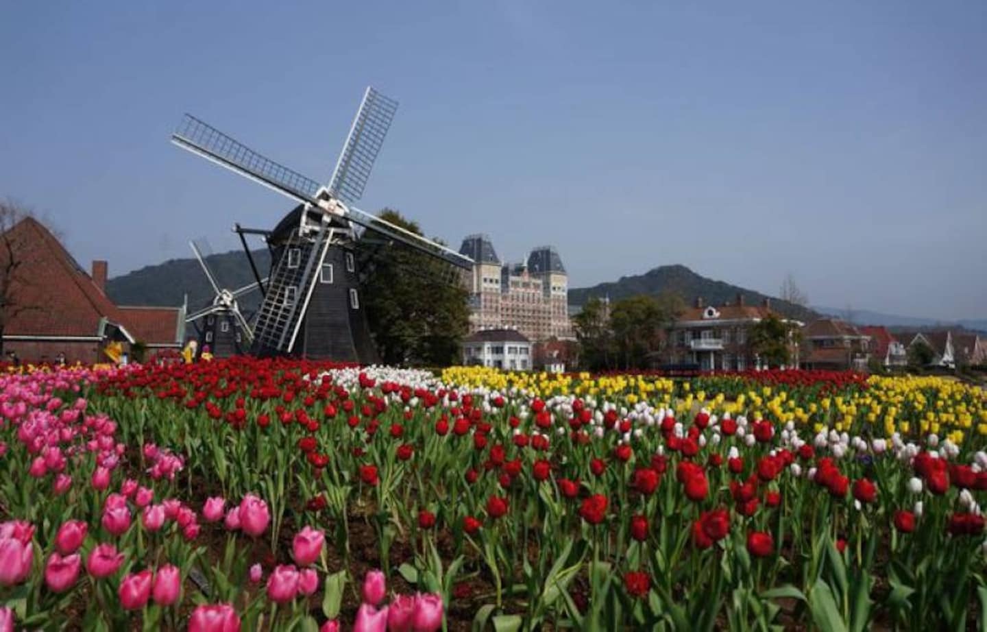 The Exotic Charm of Nagasaki, Japan