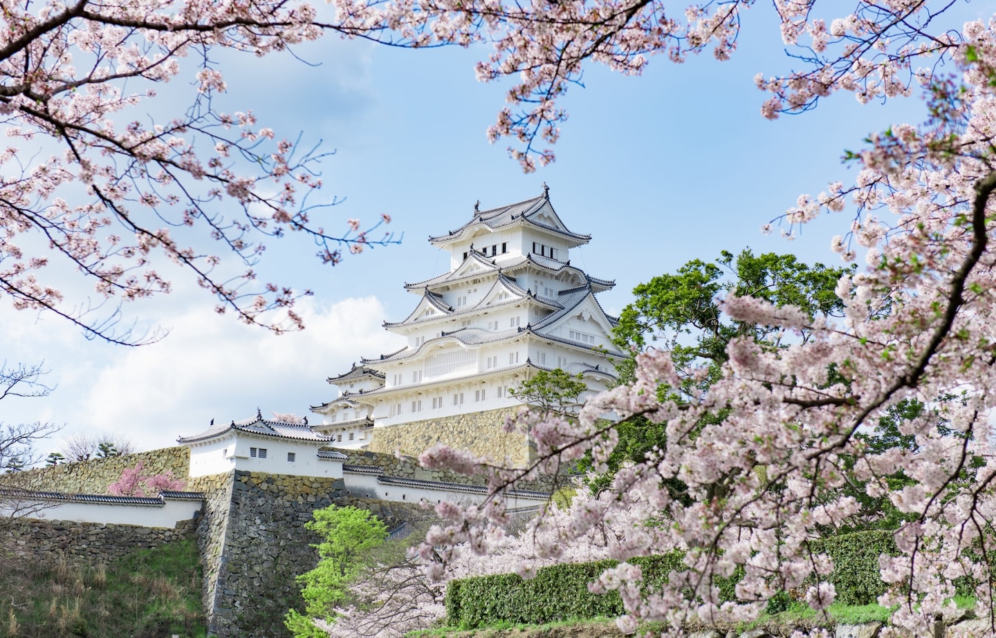 日本最佳花見景點推薦 你一定要知道的東京・鎌倉・京都・奈良賞櫻名勝