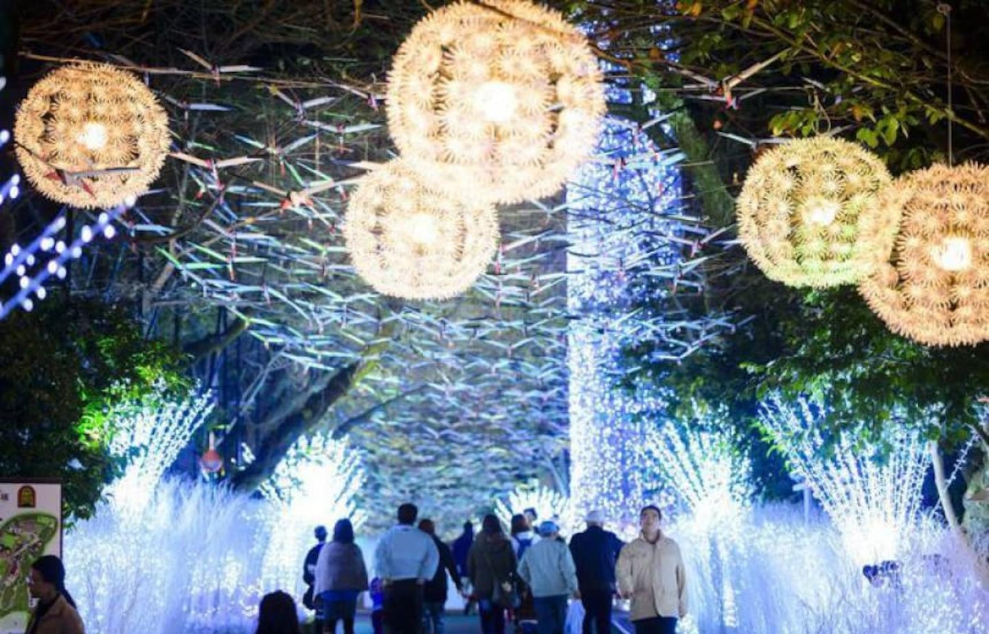 5 Incredible Japanese Illumination Locations