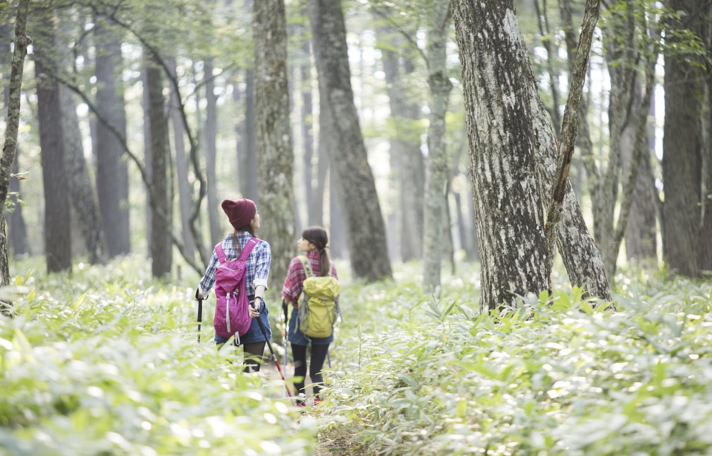 6 Hiking Trails Close to Tokyo