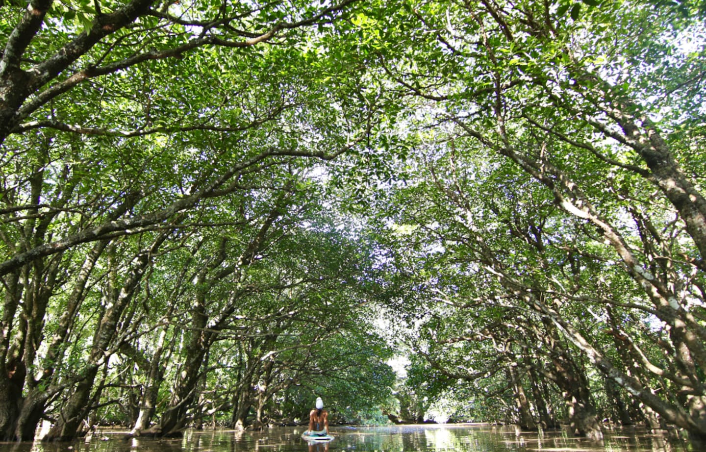 Iriomote—Japan’s Last Secluded Isle