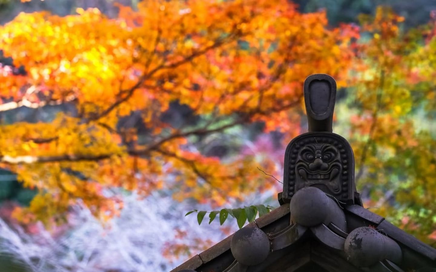 닛코 단풍 명소 1부