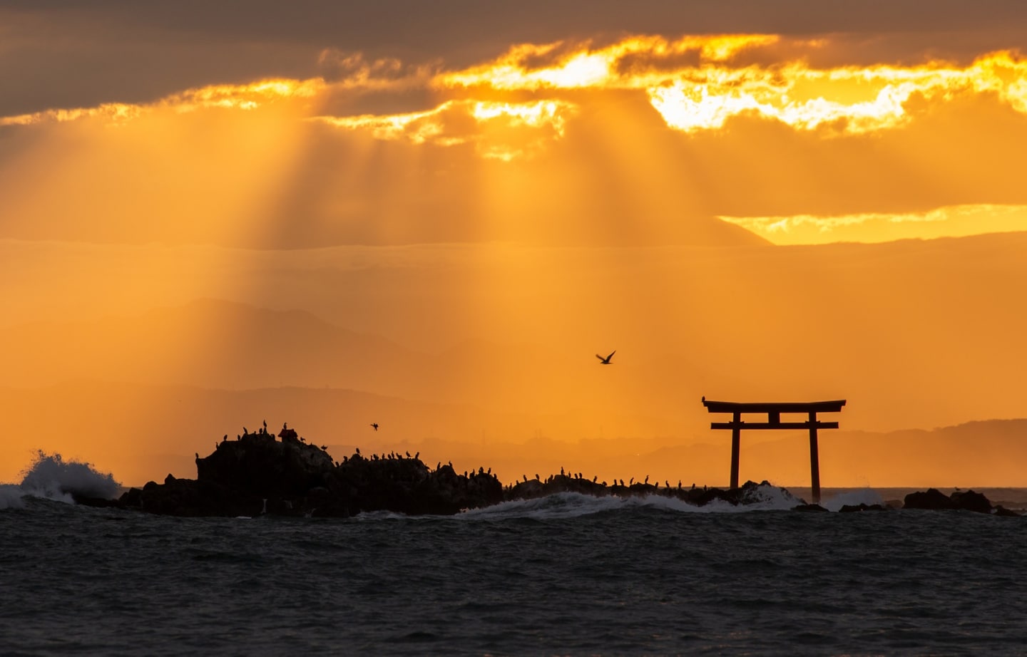 Best Beach Views Near Tokyo