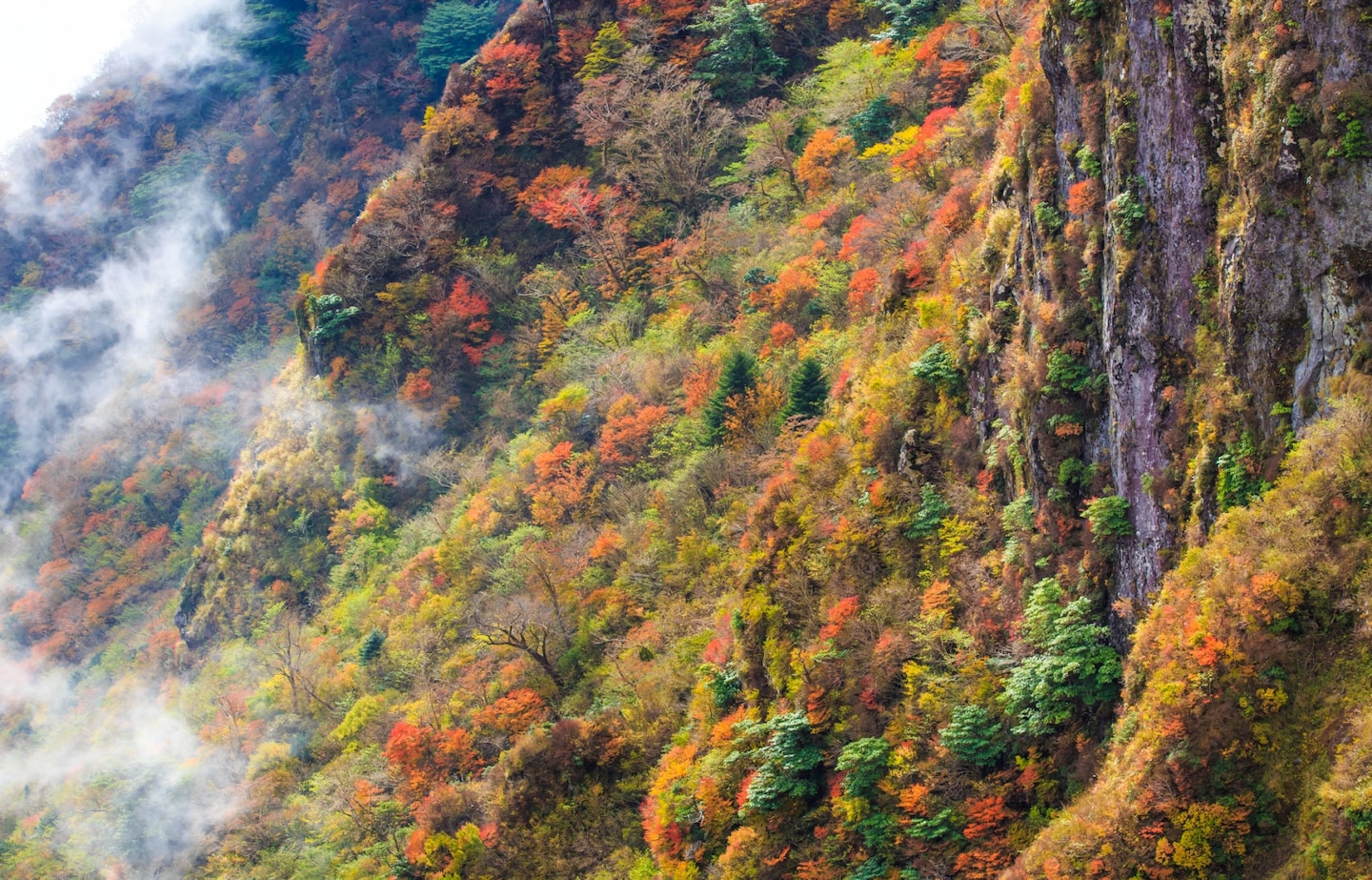 10 จุดชมใบไม้เปลี่ยนสีในคิวชู (Kyushu)