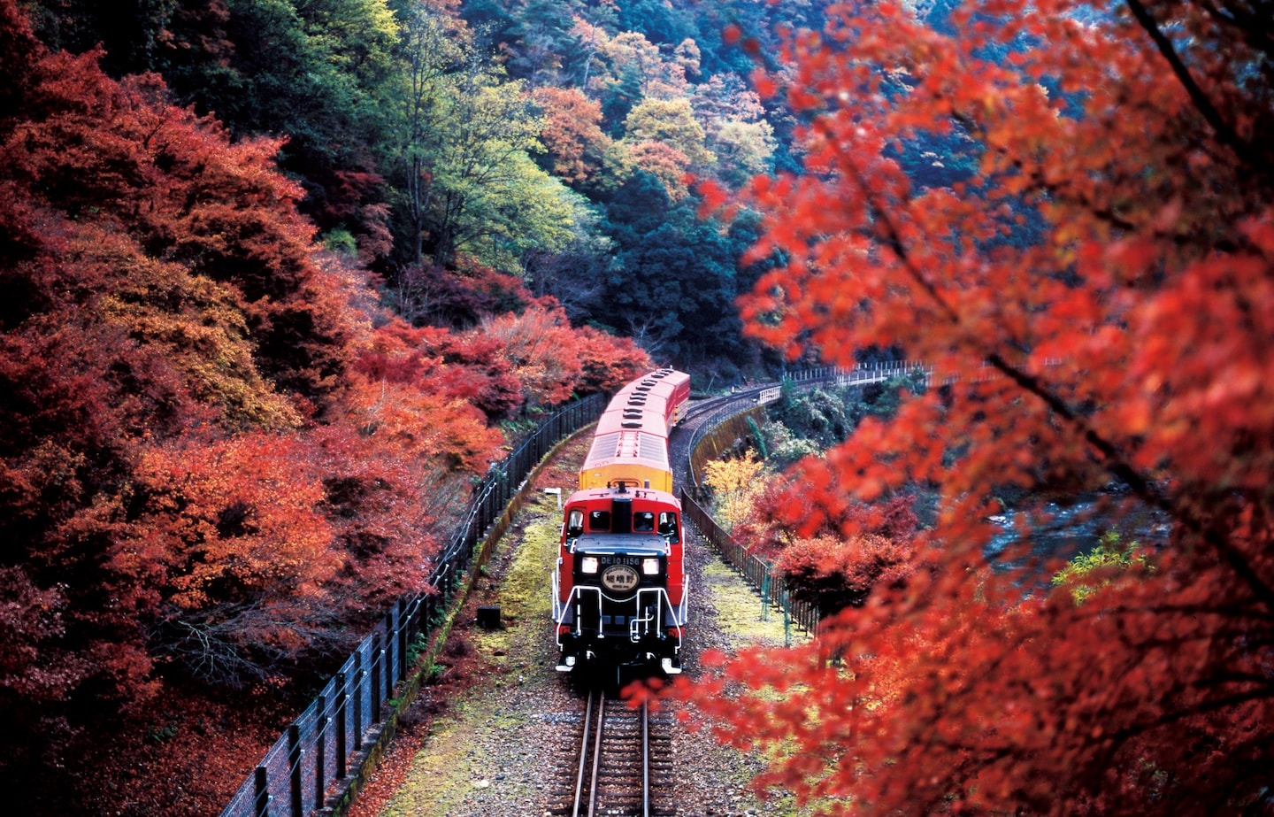 Riding the Rails: The Sagano Scenic Railway