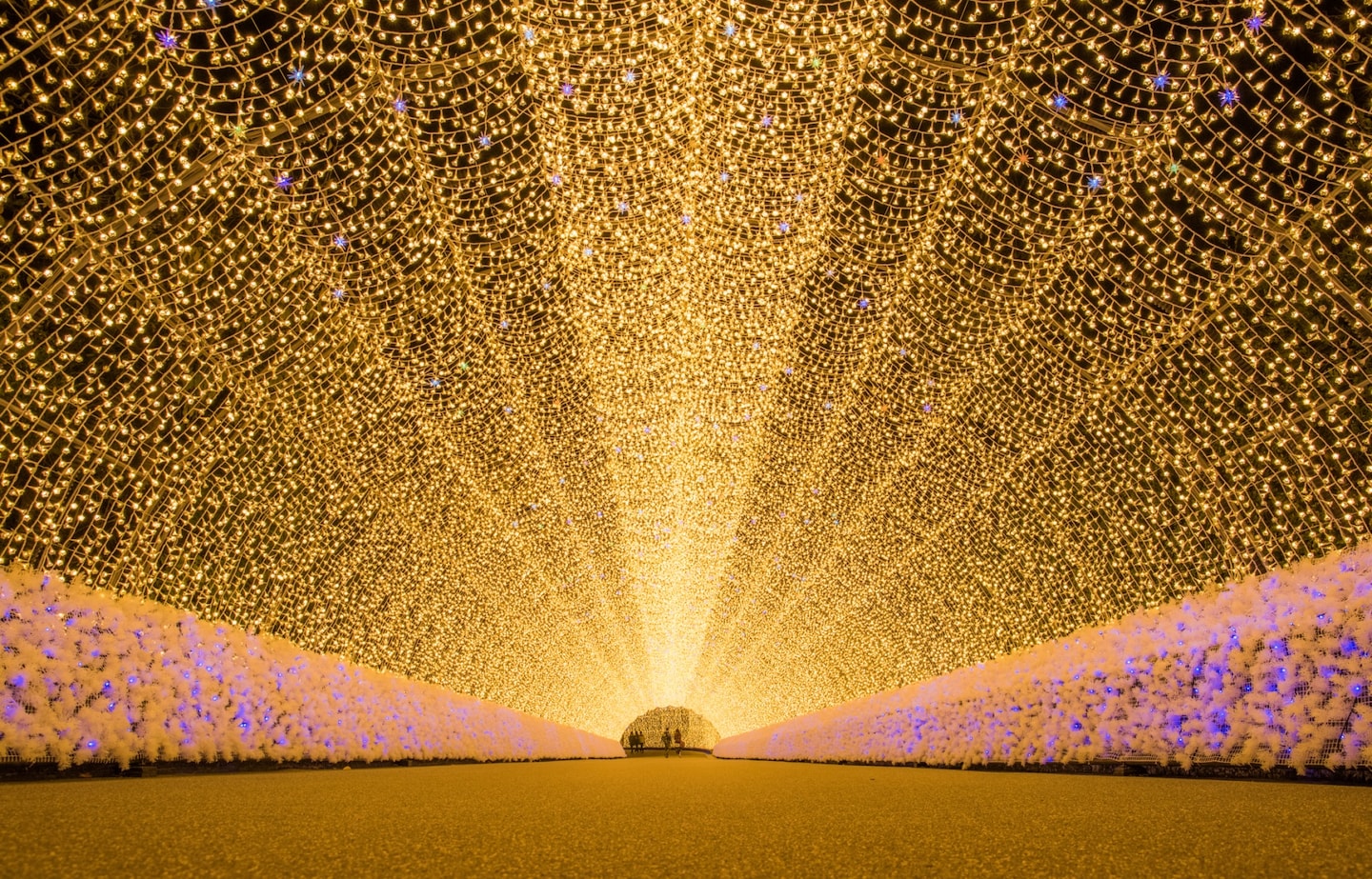 Top 5 Winter Illuminations Outside of Tokyo!