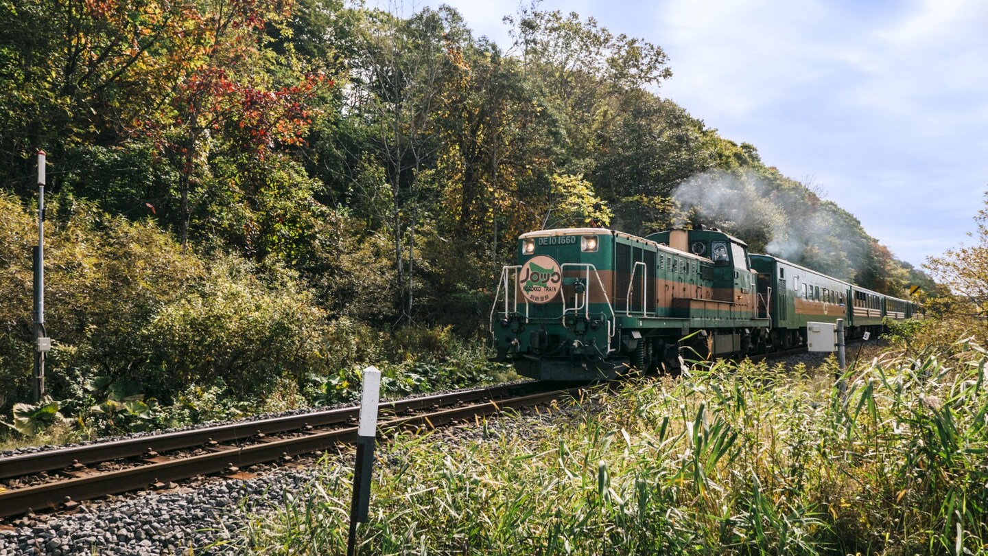 Traverse the Natural Wonders of Kushiro Marsh