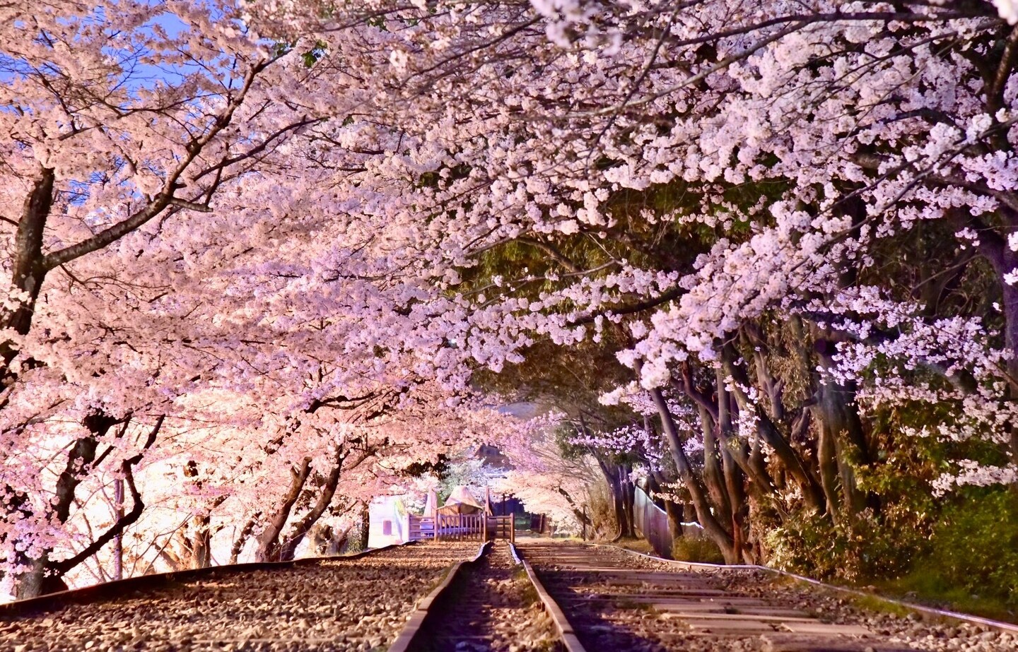 รวมสถานีน่าเที่ยวของ Kyoto Tozai Line