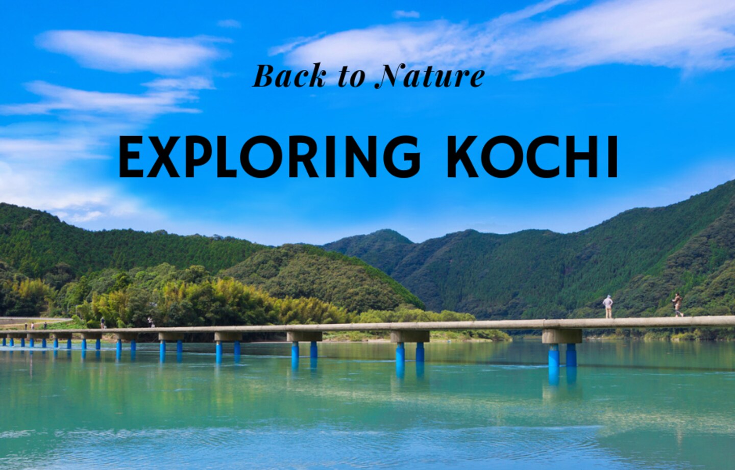 Getting Back to Nature in Kochi